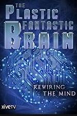 Watch The Plastic Fantastic Brain Wolowtube