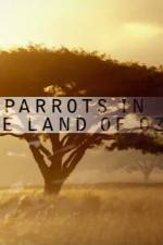 Watch Nature Parrots in the Land of Oz Wolowtube