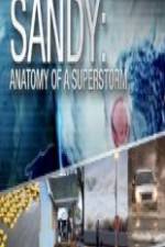 Watch Sandy Anatomy Of A Superstorm Wolowtube