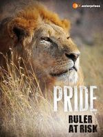 Watch Pride - Ruler\'s at Risk Wolowtube