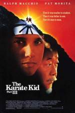 Watch The Karate Kid, Part III Wolowtube
