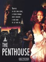 Watch The Penthouse Wolowtube