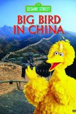 Watch Big Bird in China Wolowtube