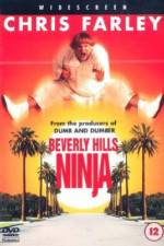 Watch Beverly Hills Ninja Wolowtube