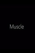 Watch Muscle Wolowtube