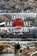 Watch Japan Aftermath of a Disaster Wolowtube