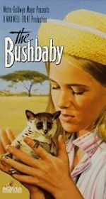 Watch The Bushbaby Wolowtube
