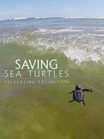 Watch Saving Sea Turtles: Preventing Extinction Wolowtube