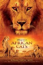 Watch African Cats Wolowtube