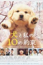 Watch 10 Promises to My Dog (Inu to watashi no 10 no yakusoku) Wolowtube