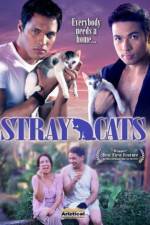 Watch Stray Cats Wolowtube