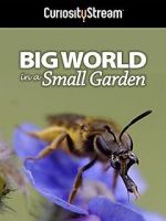 Watch Big World in a Small Garden (TV Short 2016) Wolowtube