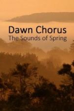 Watch Dawn Chorus: The Sounds of Spring Wolowtube