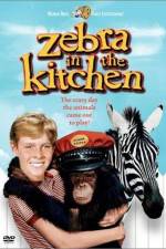 Watch Zebra in the Kitchen Wolowtube