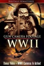 Watch Gun Camera Footage WWII Wolowtube