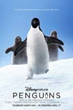 Watch Penguins Wolowtube