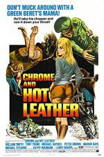 Watch Chrome and Hot Leather Wolowtube