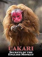 Watch Uakari: Secrets of the English Monkey Wolowtube