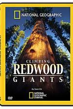 Watch National Geographic Explorer: Climbing Redwood Giants Wolowtube