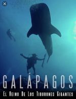 Watch Galapagos: Realm of Giant Sharks Wolowtube