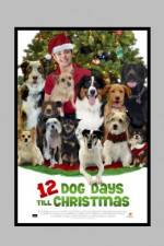 Watch 12 Dog Days of Christmas Wolowtube