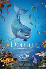 Watch The Dolphin Story of a Dreamer Wolowtube