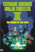 Watch Teenage Mutant Ninja Turtles II: The Secret of the Ooze Wolowtube