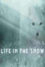 Watch Life in the Snow Wolowtube
