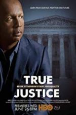 Watch True Justice: Bryan Stevenson\'s Fight for Equality Wolowtube