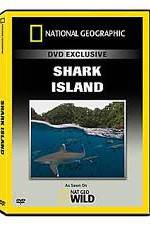 Watch National Geographic: Shark Island Wolowtube