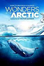 Watch Wonders of the Arctic 3D Wolowtube