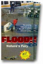 Watch Flood Wolowtube
