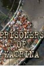 Watch Prisoners of Katrina Wolowtube