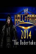 Watch WWE Hall Of Fame 2014 Wolowtube