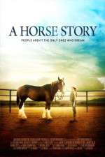 Watch A Horse Story Wolowtube