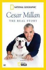 Watch Cesar Millan: The Real Story Wolowtube