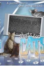 Watch Shorts for Cats Wolowtube