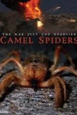 Watch Camel Spiders Wolowtube