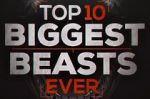 Watch Top 10 Biggest Beasts Ever Wolowtube