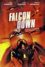 Watch Falcon Down Wolowtube