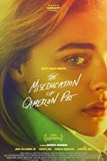 Watch The Miseducation of Cameron Post Wolowtube