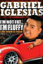 Watch Gabriel Iglesias I'm Not Fat I'm Fluffy Wolowtube