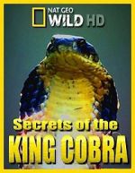 Watch Secrets of the King Cobra Wolowtube