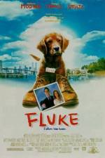 Watch Fluke Wolowtube