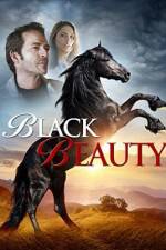 Watch Black Beauty Wolowtube