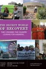 Watch The Secret World of Recovery Wolowtube