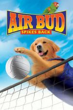 Watch Air Bud: Spikes Back Wolowtube