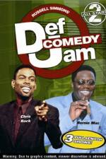 Watch Def Comedy Jam All-Stars Vol. 2 Wolowtube