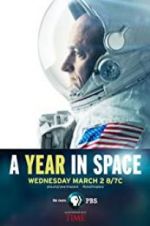 Watch A Year in Space Wolowtube
