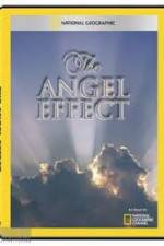 Watch National Geographic Explorer - The Angel Effect Wolowtube